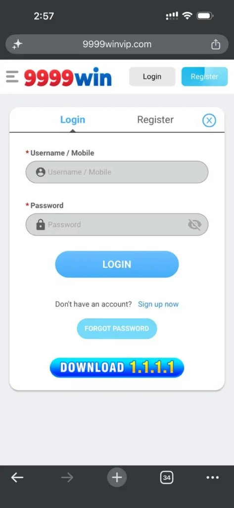 9999win login